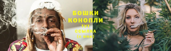 стаф Балахна