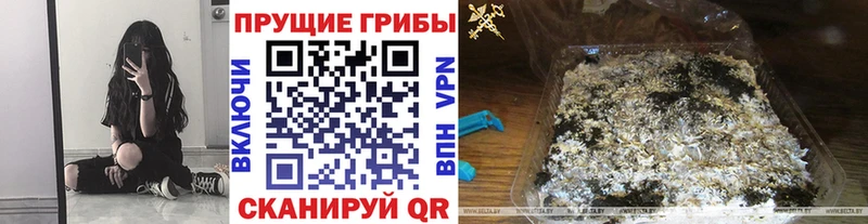 наркошоп  Вятские Поляны  Псилоцибиновые грибы ЛСД 