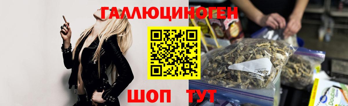 Вятские Поляны  Псилоцибиновые грибы ЛСД  Вход с VPN 